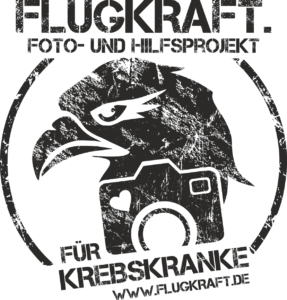 Logo von Flugkraft