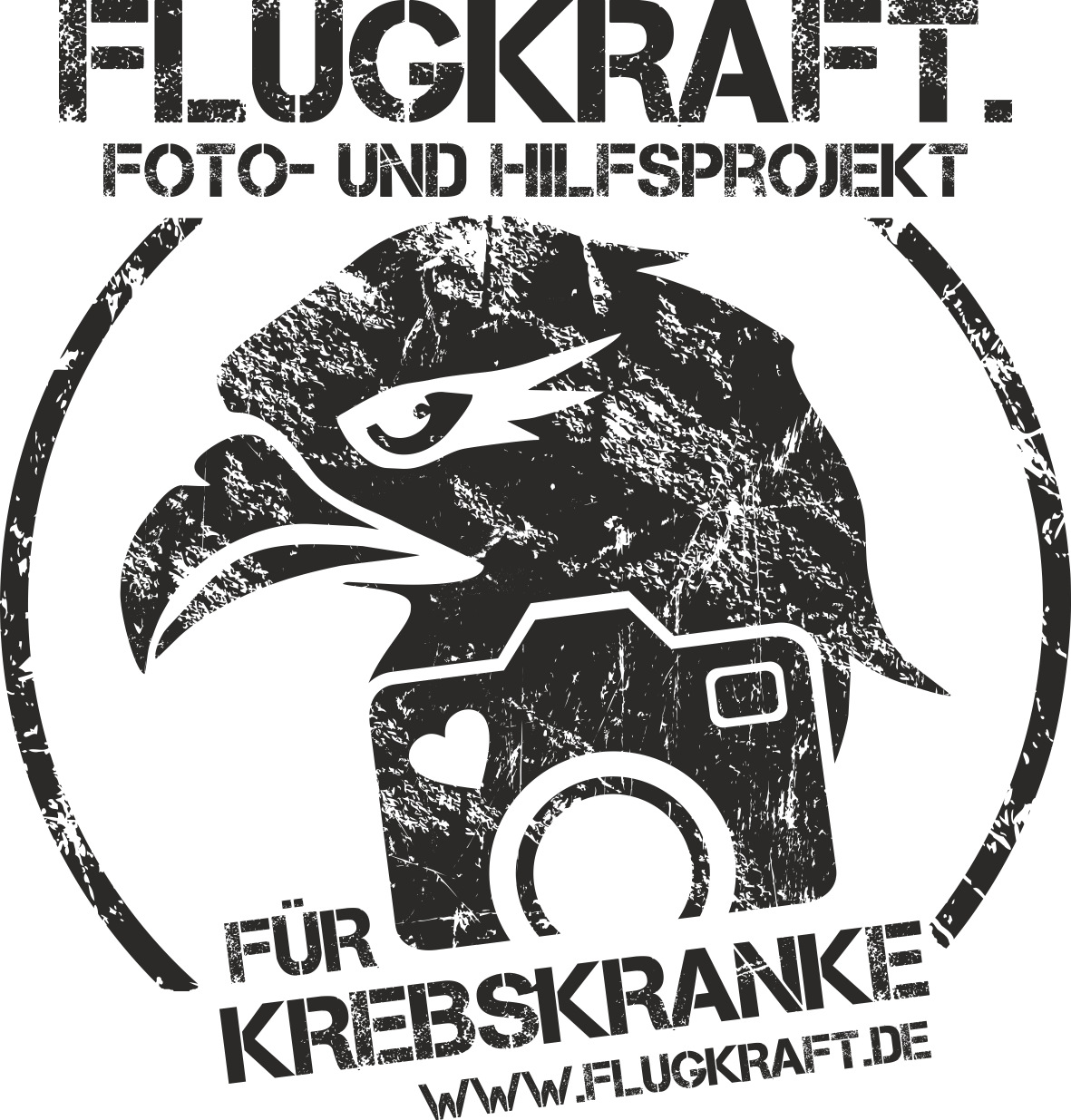 Logo von Flugkraft