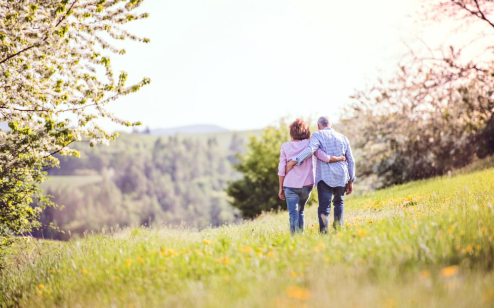 Rückenansicht eines älteren Paares, das Arm in Arm auf einer Frühlingswiese spaziert